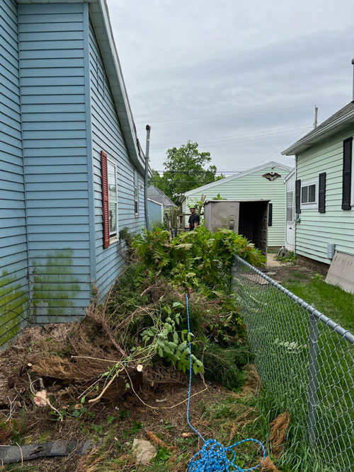 brush removal Treemendous tree services Indiana