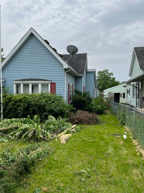 brush removal Treemendous tree services Indiana
