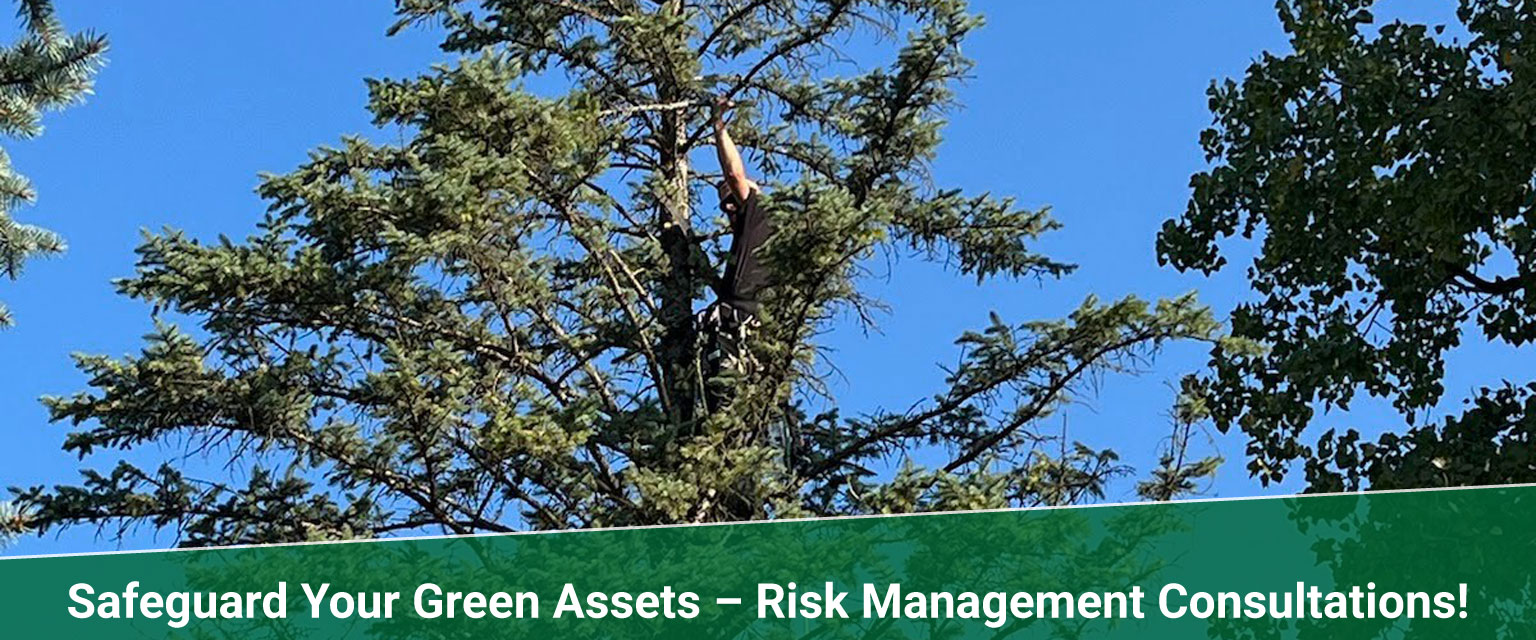 risk management consultations Treemendous tree services Indiana