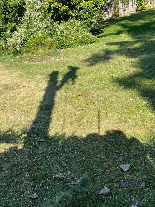 safety Treemendous tree services Indiana