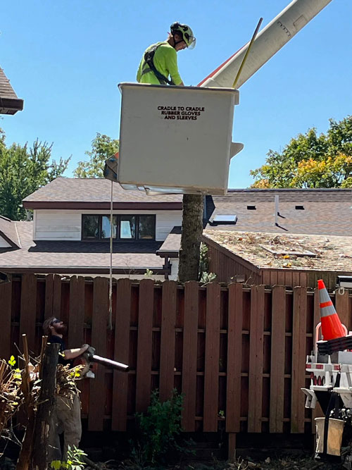 staff  Treemendous tree services Indiana