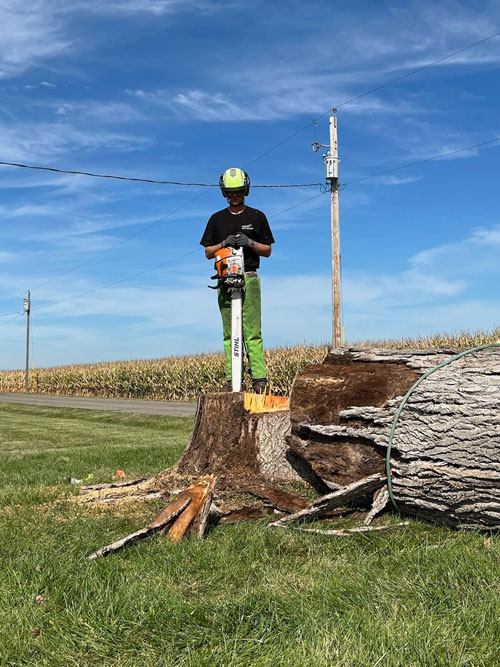 tree removal Treemendous tree services Indiana